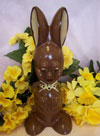 a picture of Buster, a chocolate bunny rabbit